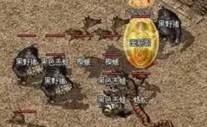 sf发布网